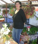 Marisa, 63 ani, Brasov, Brasov