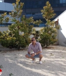 alex3544, 45 years, Timisoara, Timis